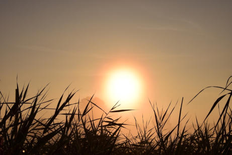 Hintergrundbild für Hörproben